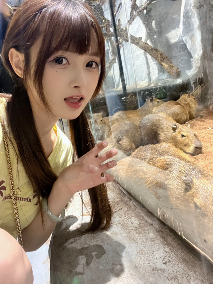 承欢记 封面
